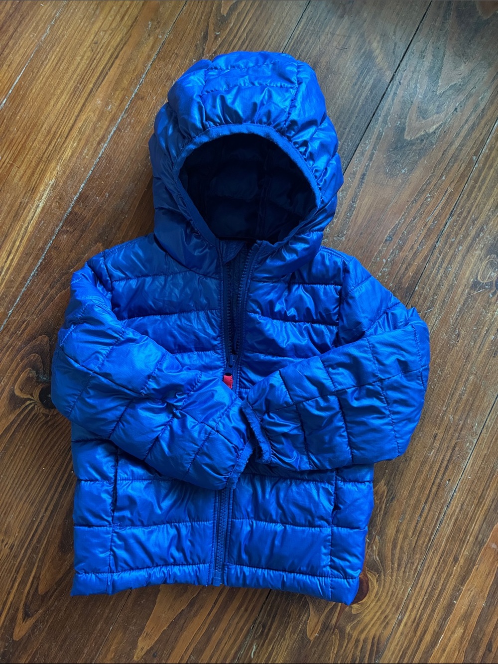 Kids Primary Blue Puffer Jacket with Hood 2